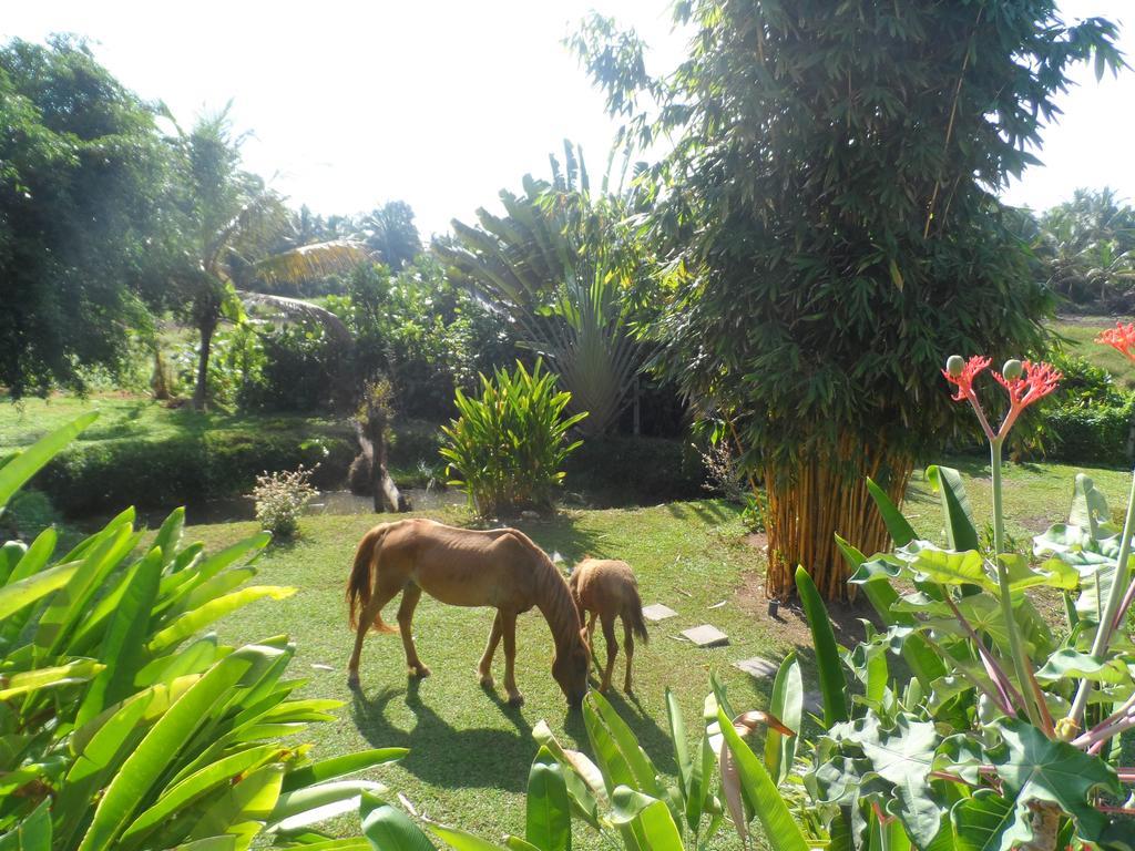 Nisalavila Villa Beruwala Exterior photo